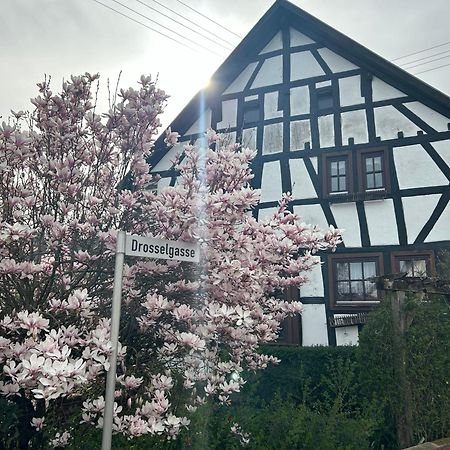 Das Pautzen Haus Daun Ngoại thất bức ảnh