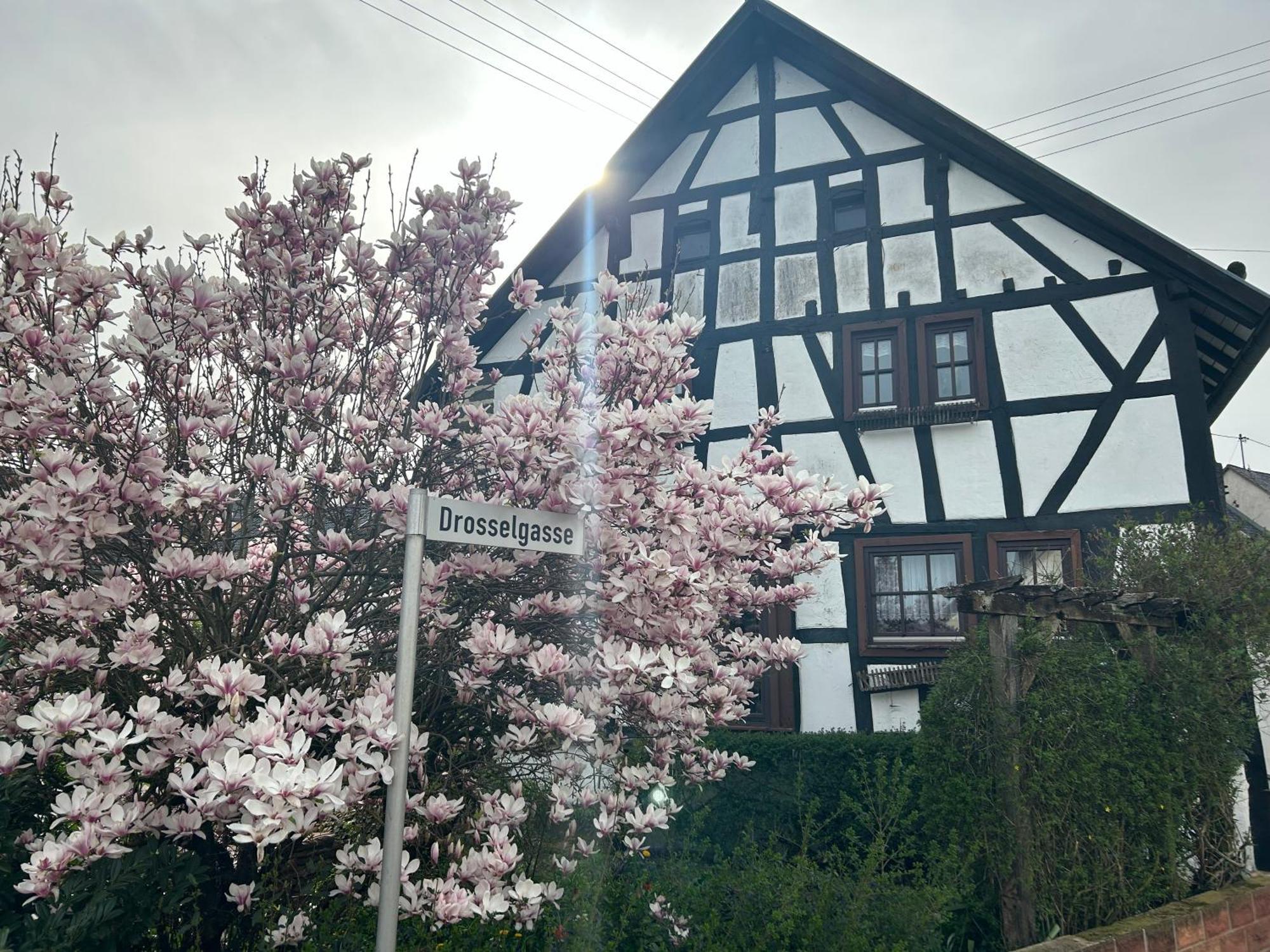 Das Pautzen Haus Daun Ngoại thất bức ảnh